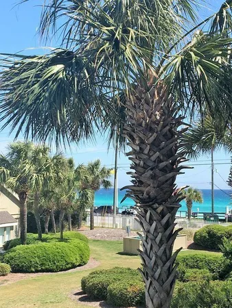 $2,200 | 86 South Driftwood Bay, Unit 162, Miramar Beach, FL 32550