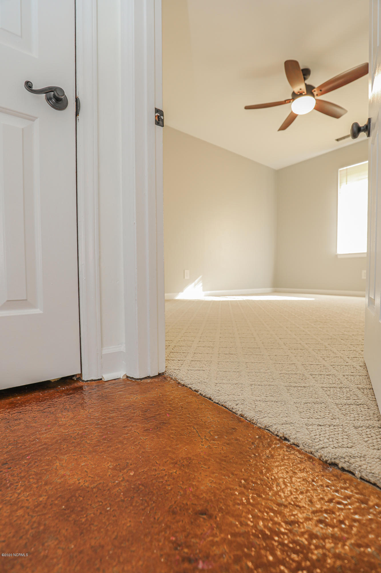 800 Shadowridge Road Jacksonville, NC 28546 - Photo 31 of 47 untitled-3601