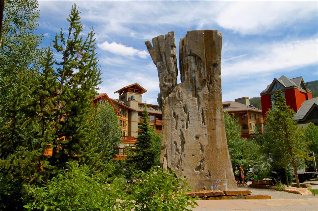 172 Copper Circle, Unit 210 Copper Mountain, CO 80443 - Photo 23 of 25 a backyard of a house with lots of green space