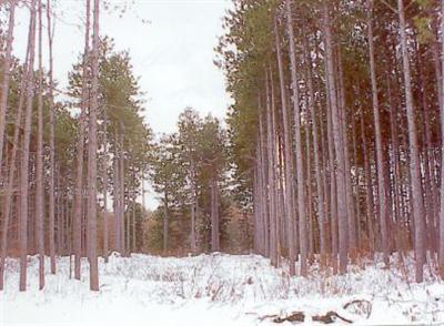 Bradley Road, Unit PAR B Belding, MI 48809 - Photo 1 of 1 Primary Photo