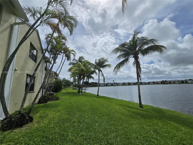 a view of a park with a palm tree