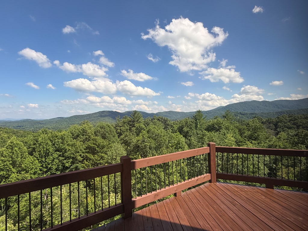81 Sundance Ridge Epworth, GA 30541 - Photo 45 of 102 Main Level Porch Views
