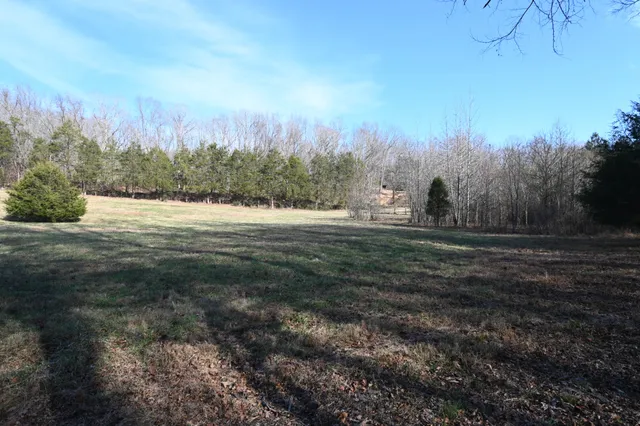 $62,500 | 0 Marsh Creek Road, Linden, TN 37096