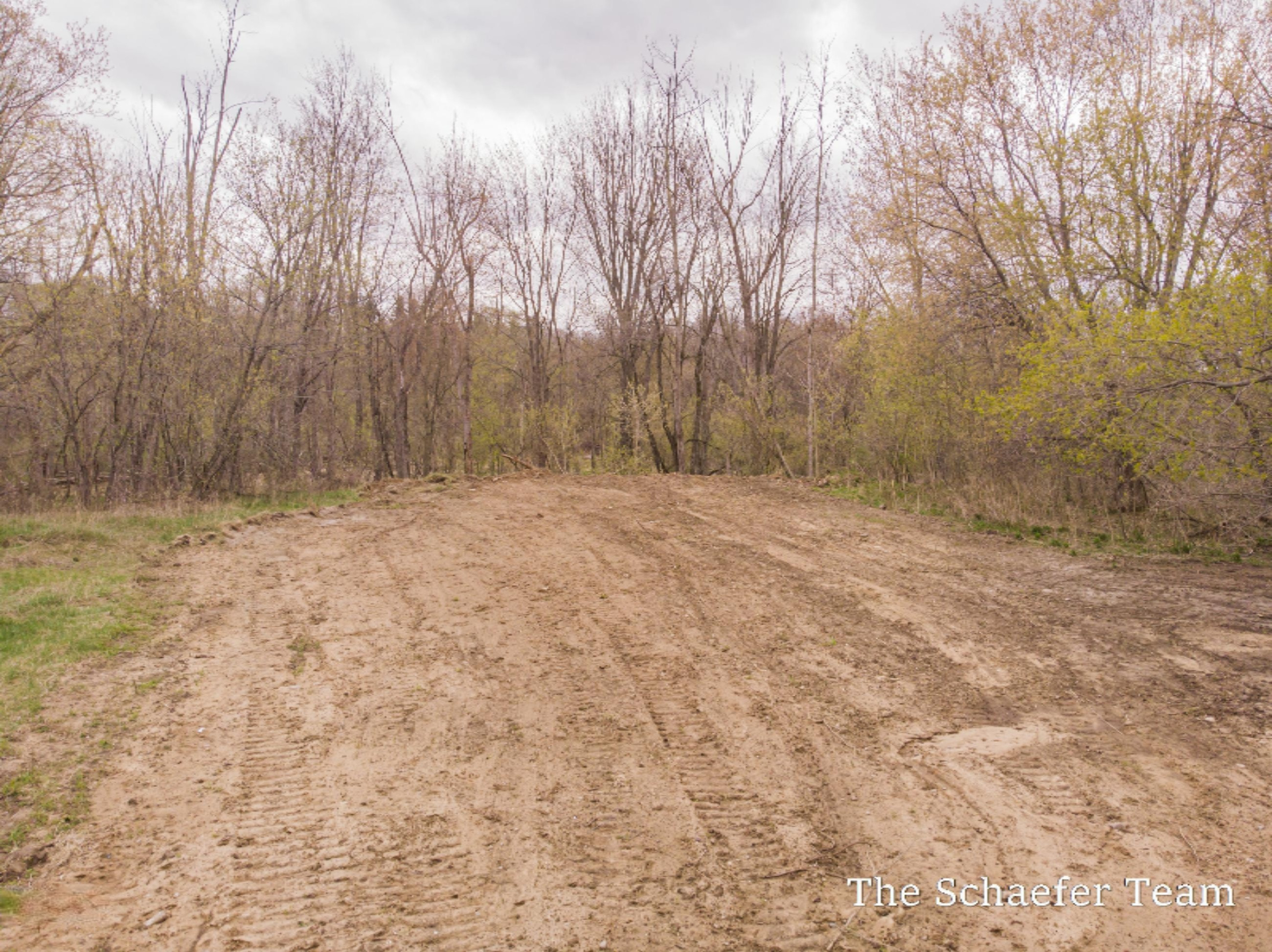 249 Stocking Street Belding, MI 48809 - Photo 6 of 6 DJI_0330