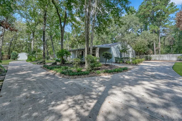 a view of a park with large trees