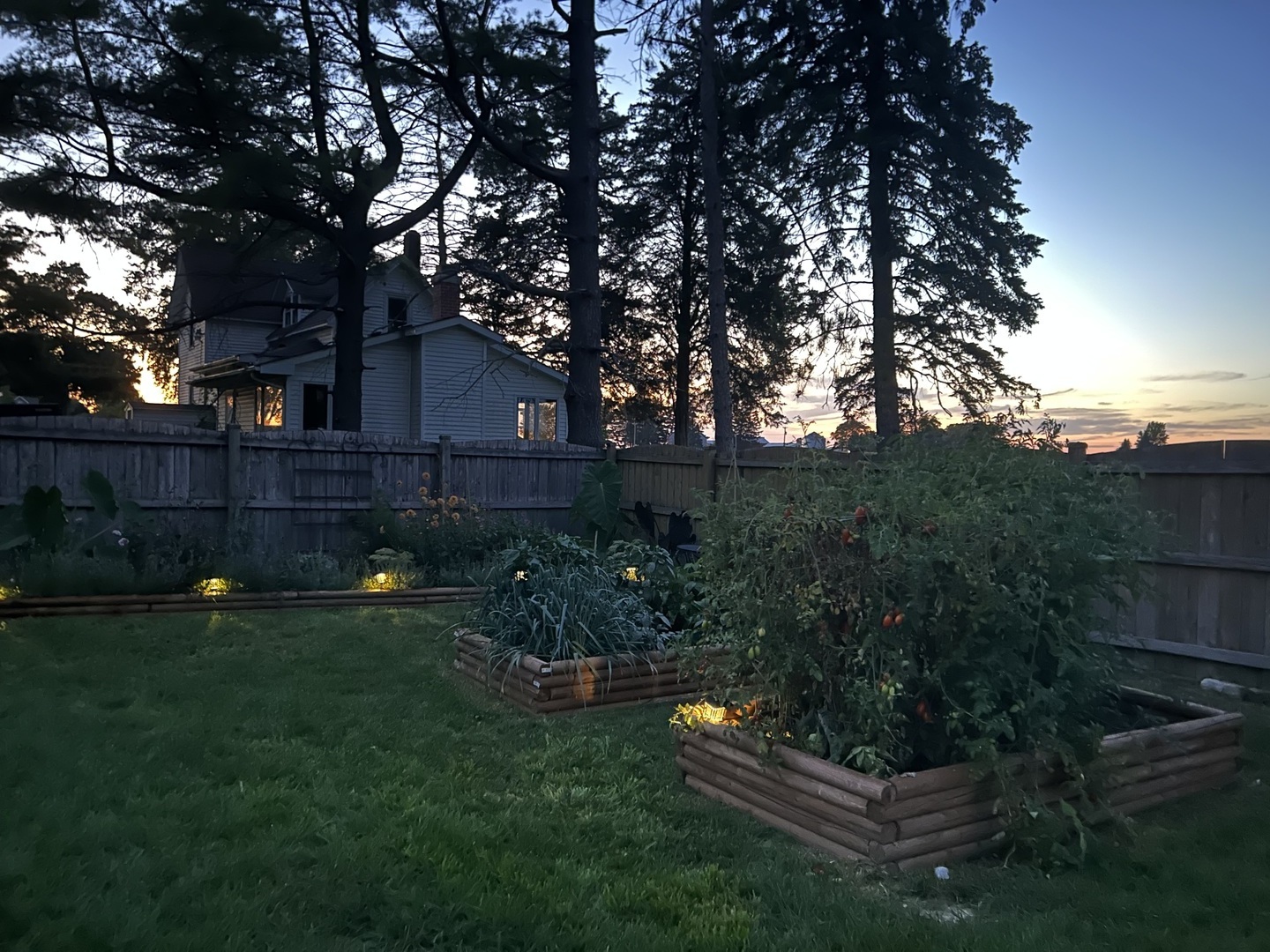 417 Virgil Street Maple Park, IL 60151 - Photo 21 of 26 a view of a backyard with plants and a garden