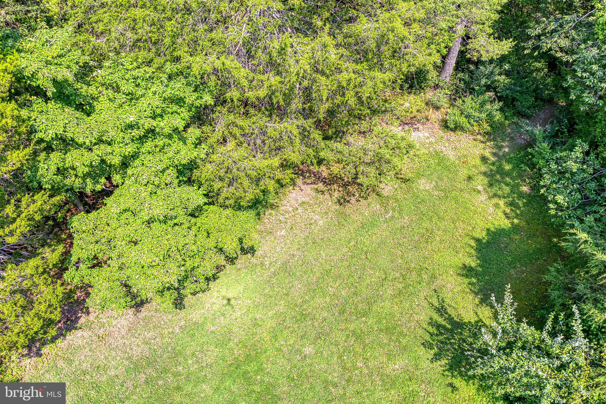 Dutch Hollow Road Rixeyville, VA 22737 - Photo 12 of 14 Gallery Image 12