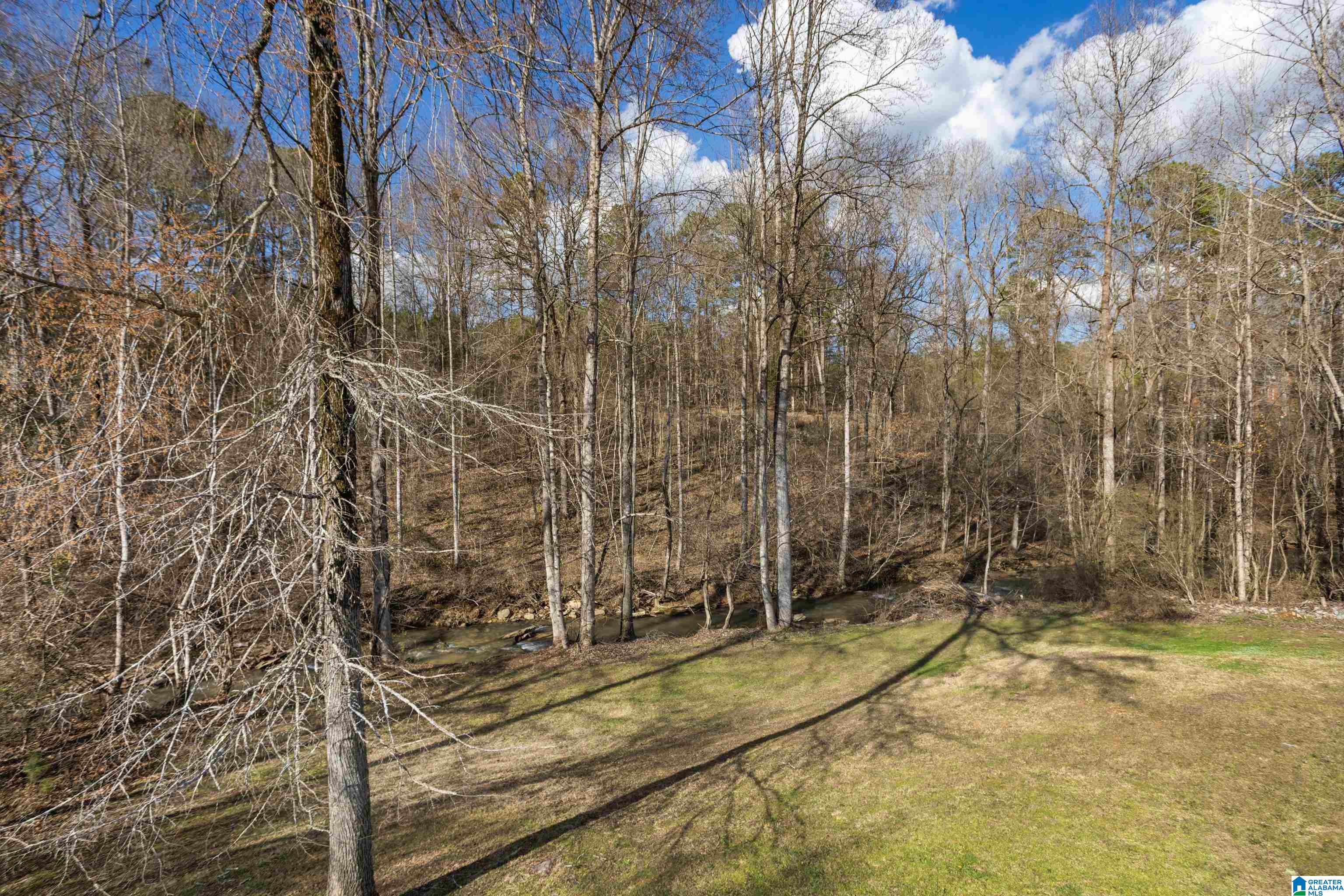 231 Magnolia Circle Warrior, AL 35180 - Photo 36 of 52