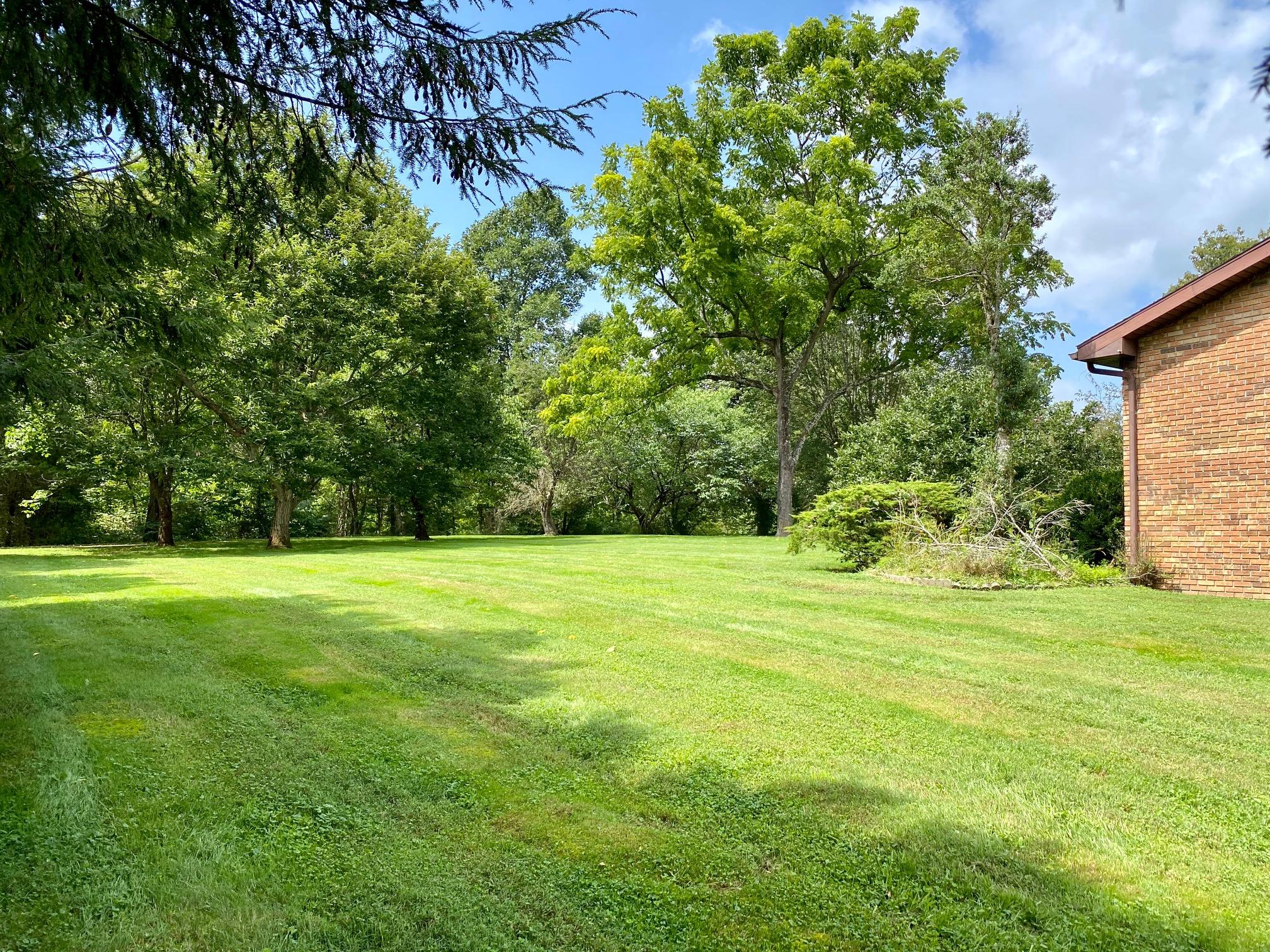 4032 Dungannon Road Coeburn, VA 24230 - Photo 52 of 60 39