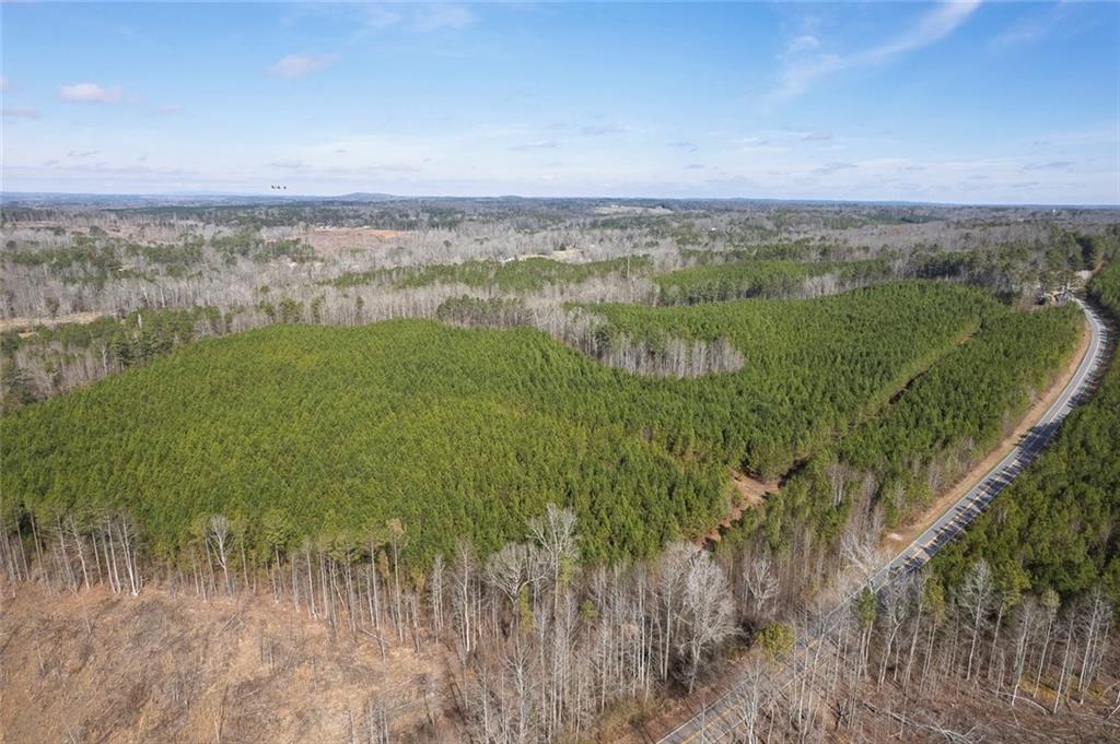 0 Macedonia Church Road Buchanan, GA 30113 - Photo 12 of 24 a view of a lake with a city