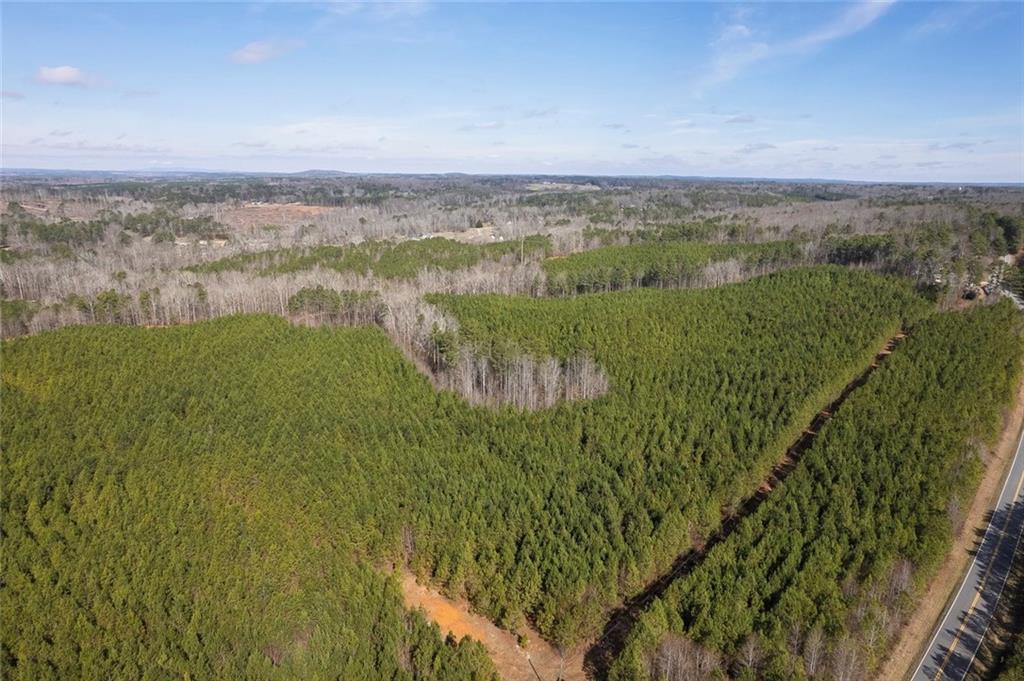 0 Macedonia Church Road Buchanan, GA 30113 - Photo 13 of 24 a view of lake with green space