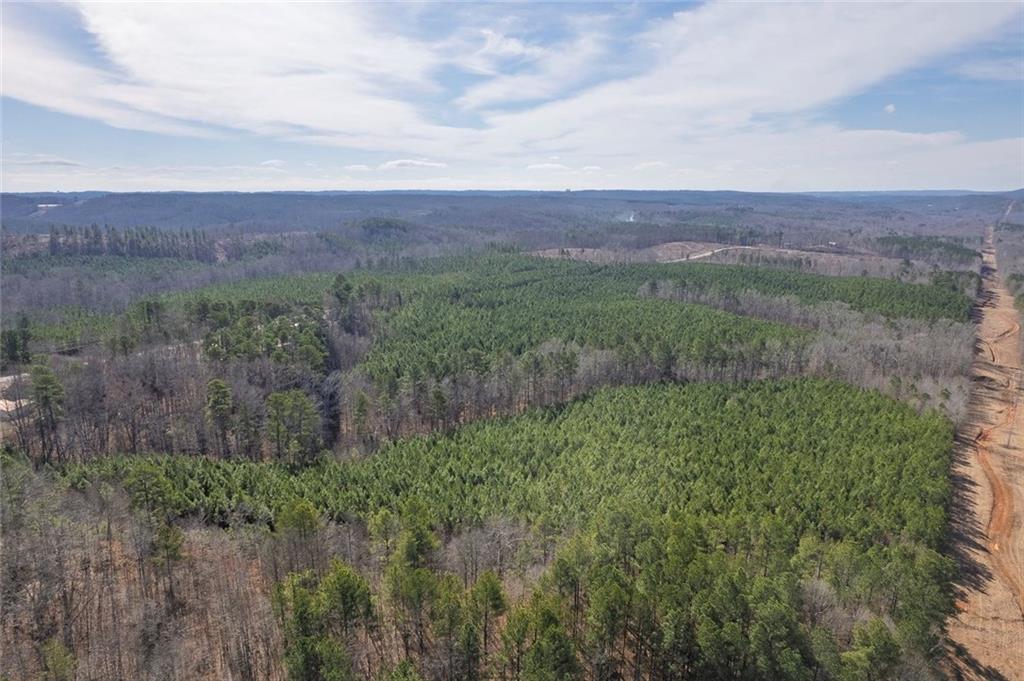 0 Macedonia Church Road Buchanan, GA 30113 - Photo 15 of 24 a view of a lush green outdoor space with a lake view and mountain view