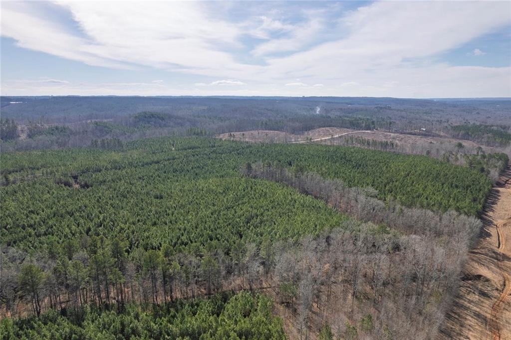 0 Macedonia Church Road Buchanan, GA 30113 - Photo 16 of 24 an aerial view of greenery