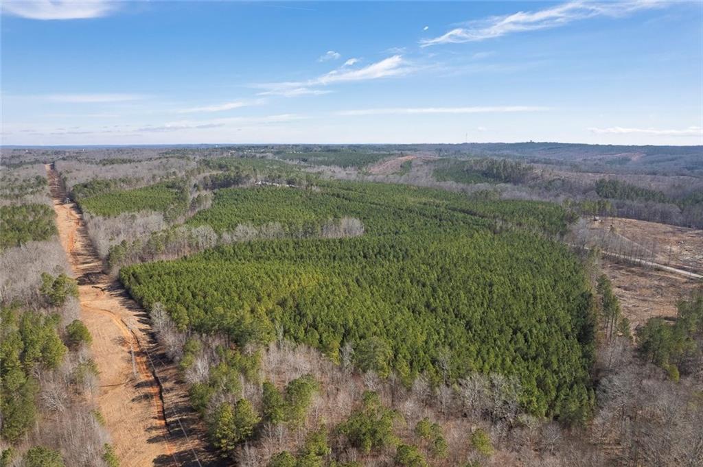 0 Macedonia Church Road Buchanan, GA 30113 - Photo 17 of 24 a view of a city with lush green forest