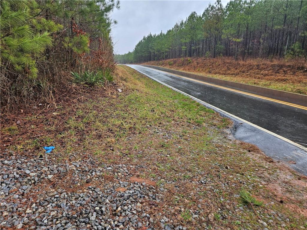 0 Macedonia Church Road Buchanan, GA 30113 - Photo 18 of 24 a view of a back yard