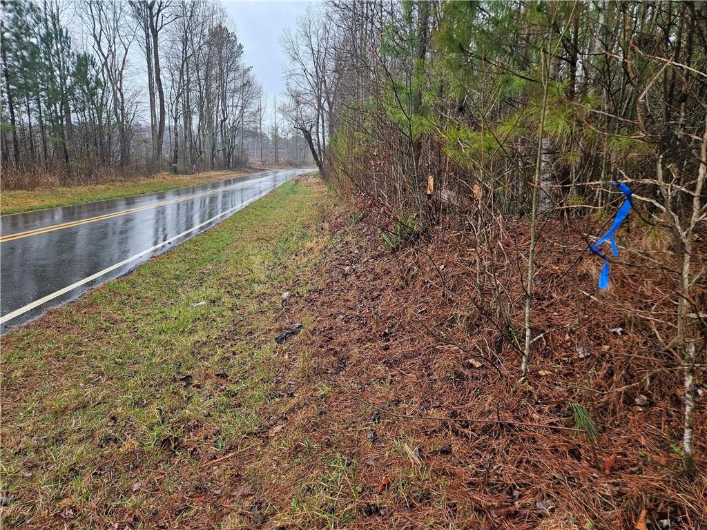 0 Macedonia Church Road Buchanan, GA 30113 - Photo 19 of 24 a view of swimming pool with a yard and tree