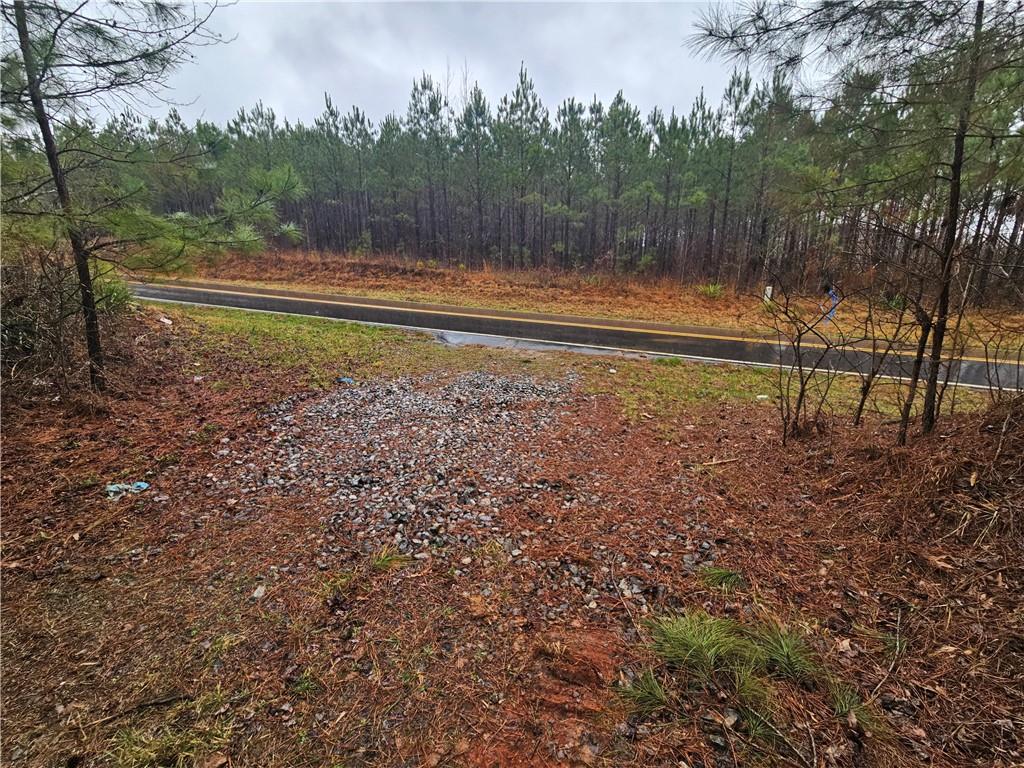 0 Macedonia Church Road Buchanan, GA 30113 - Photo 20 of 24 a view of a backyard