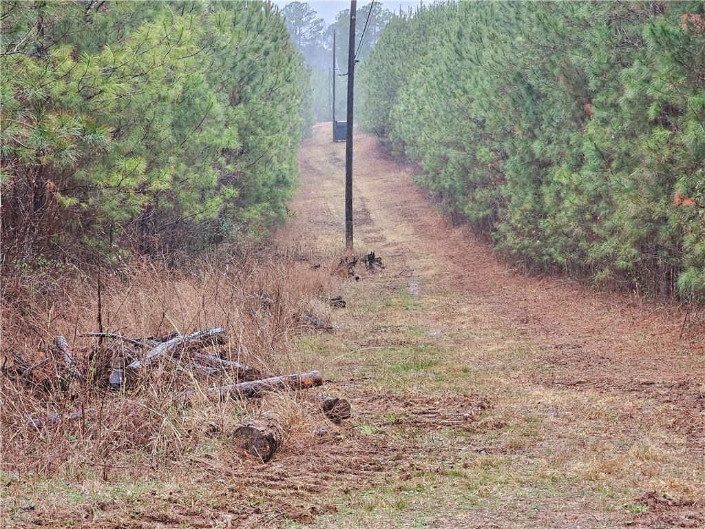 0 Macedonia Church Road Buchanan, GA 30113 - Photo 22 of 24 a backyard of a house with lots of green space