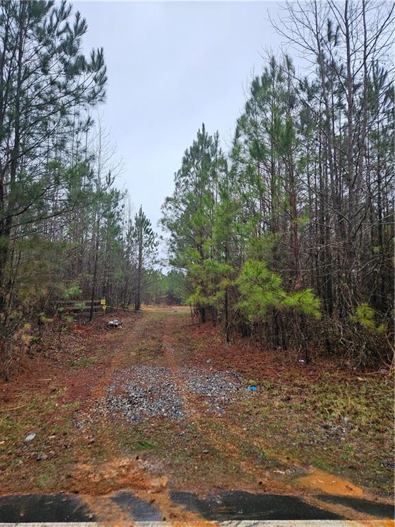 0 Macedonia Church Road Buchanan, GA 30113 - Photo 24 of 24 a view of a forest with trees in the background