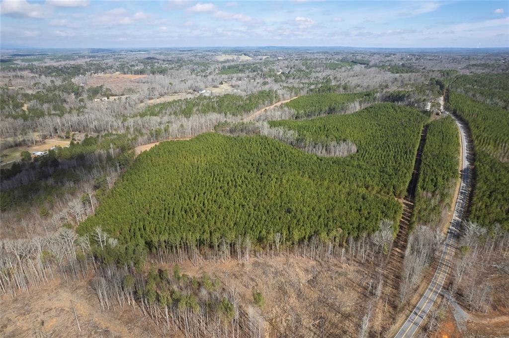 0 Macedonia Church Road Buchanan, GA 30113 - Photo 4 of 24 a view of a lake with a city