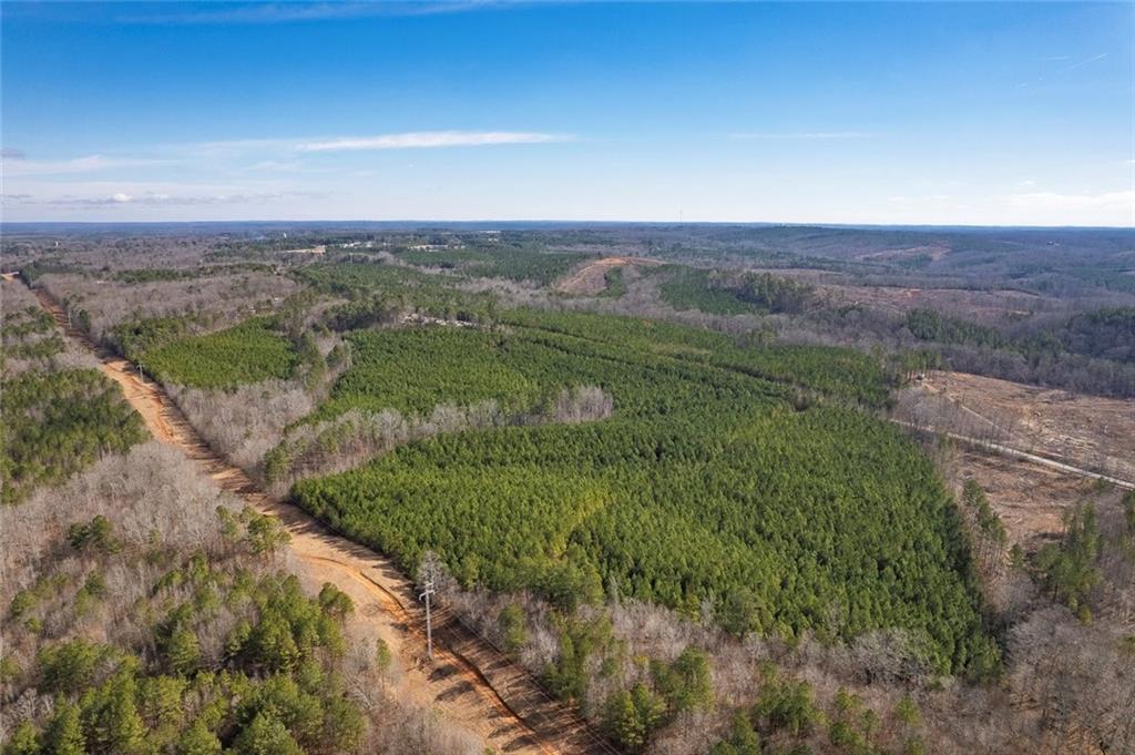 0 Macedonia Church Road Buchanan, GA 30113 - Photo 5 of 24 an aerial view of a houses with a yard
