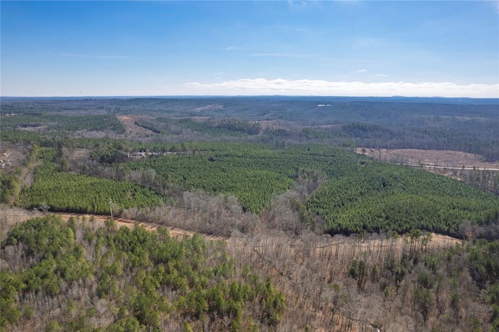 0 Macedonia Church Road Buchanan, GA 30113 - Photo 6 of 24 a view of a big yard with lots of green space and deers