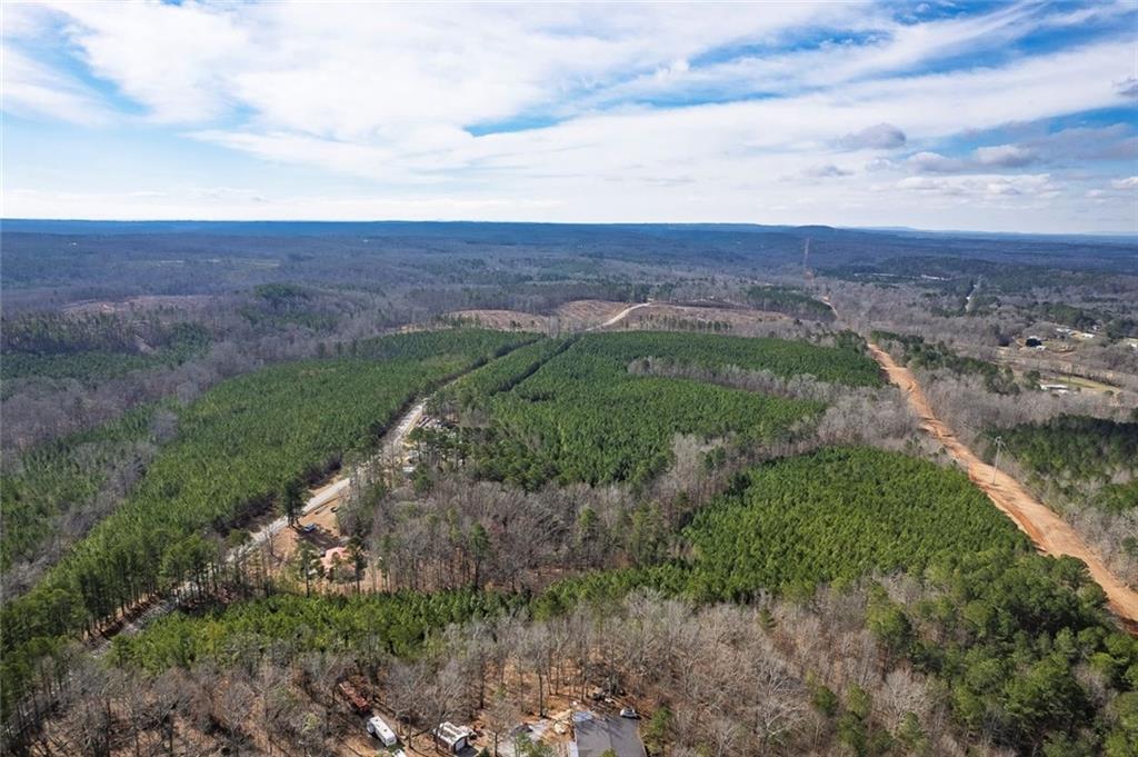 0 Macedonia Church Road Buchanan, GA 30113 - Photo 8 of 24 a view of a lush green field