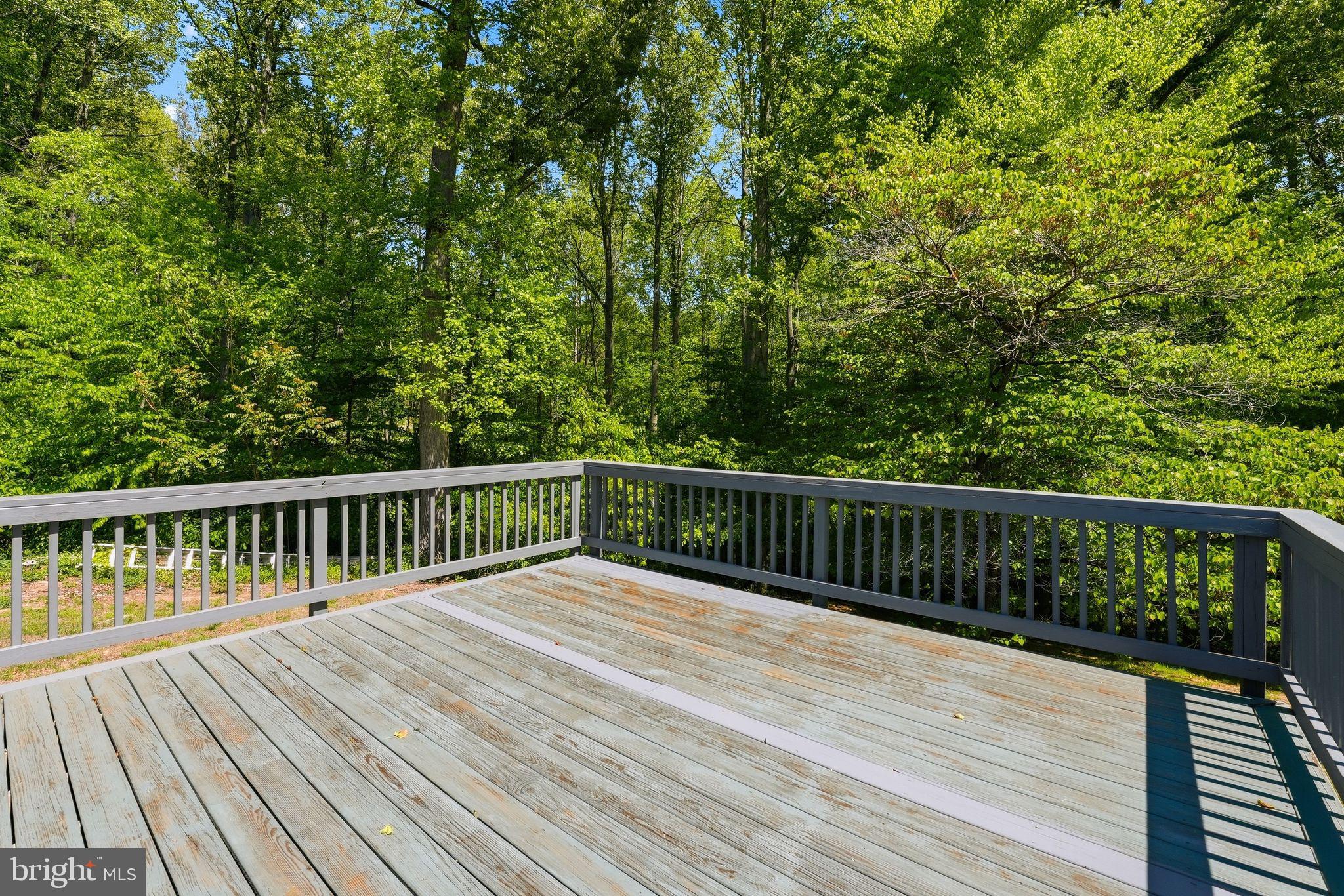11057 Eggbornsville Road Rixeyville, VA 22737 - Photo 35 of 38