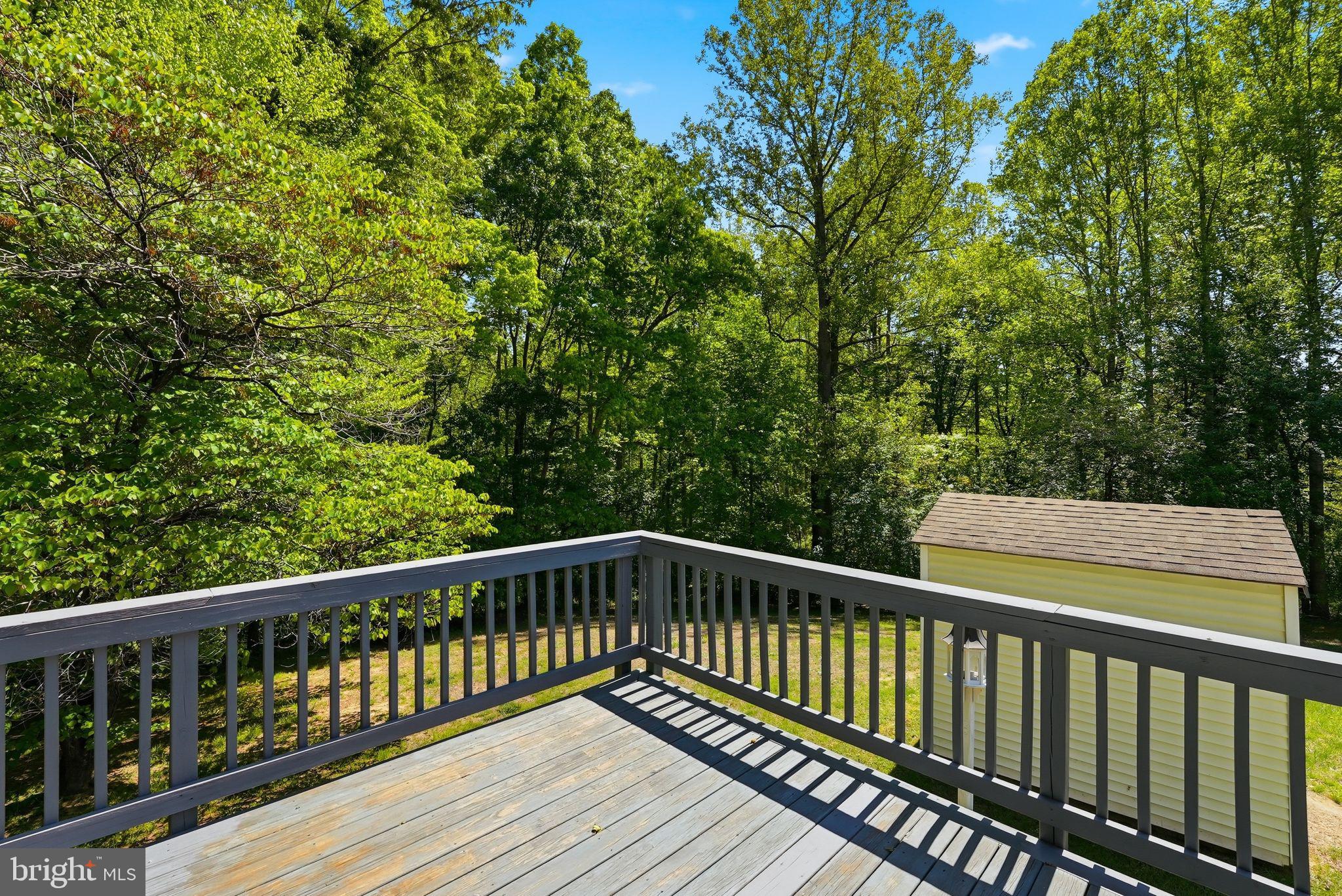 11057 Eggbornsville Road Rixeyville, VA 22737 - Photo 36 of 38