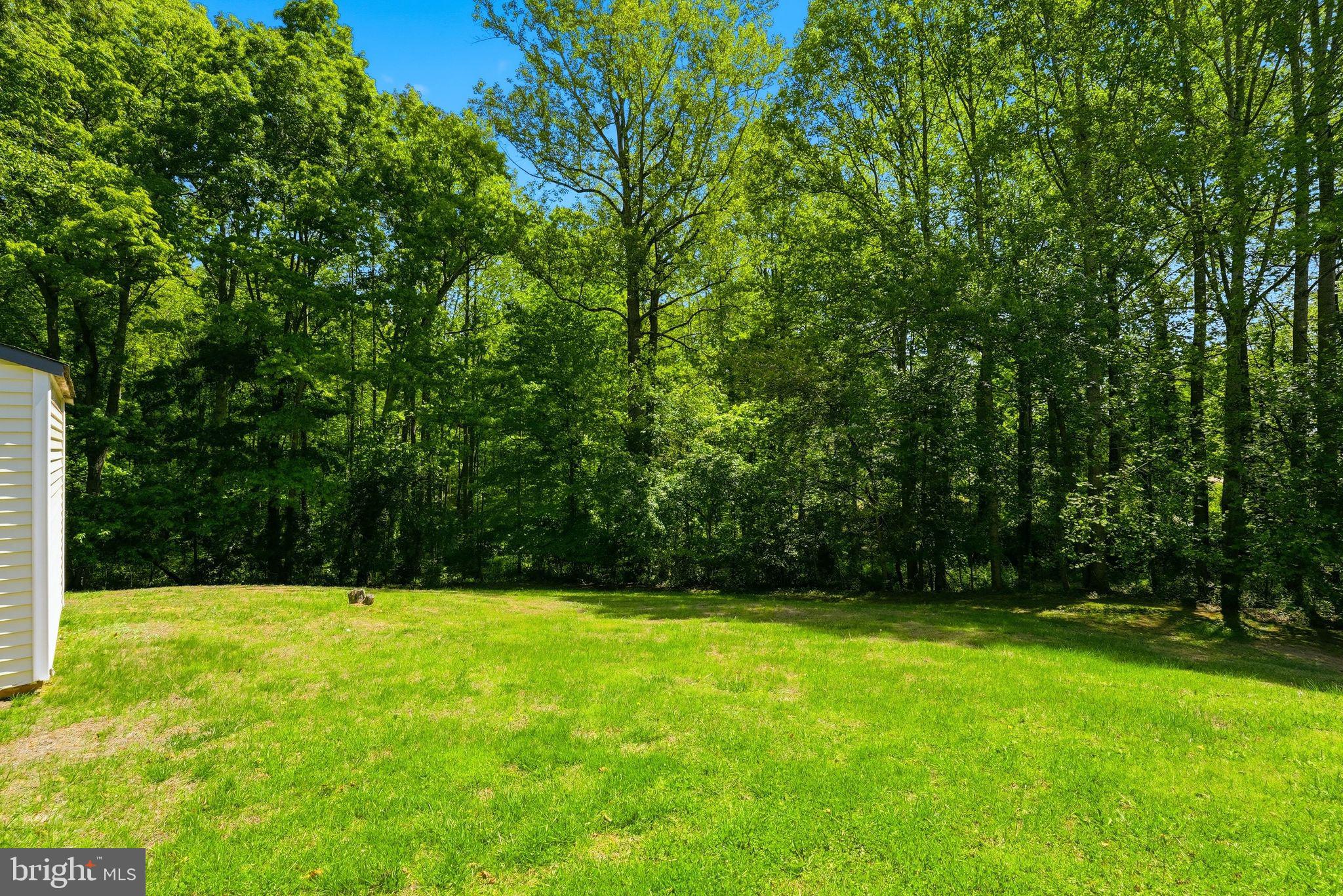 11057 Eggbornsville Road Rixeyville, VA 22737 - Photo 38 of 38