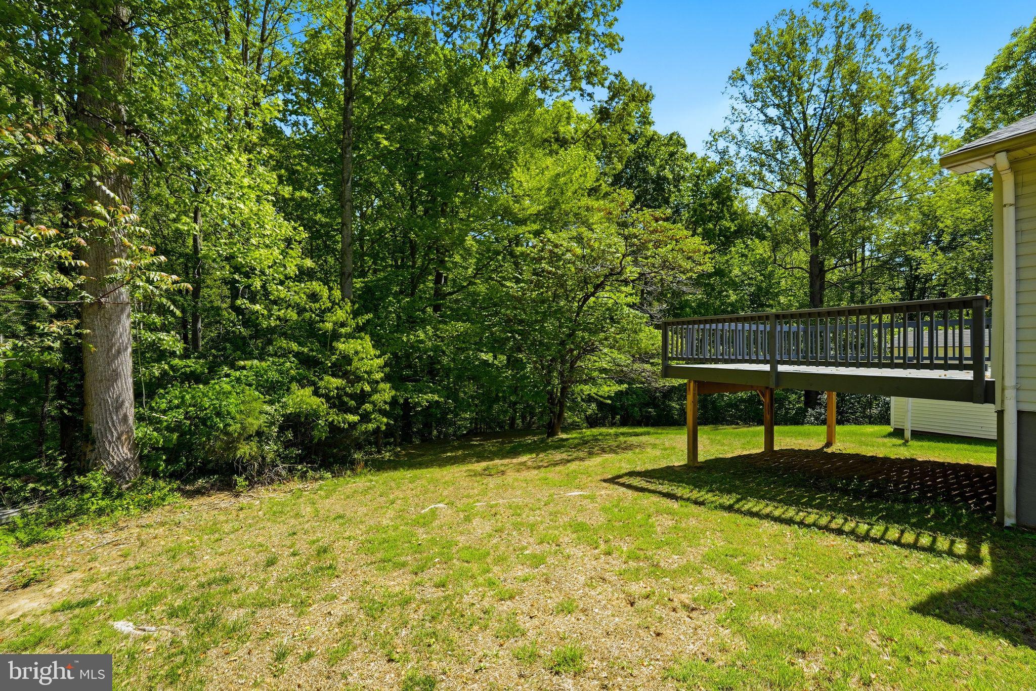 11057 Eggbornsville Road Rixeyville, VA 22737 - Photo 8 of 38