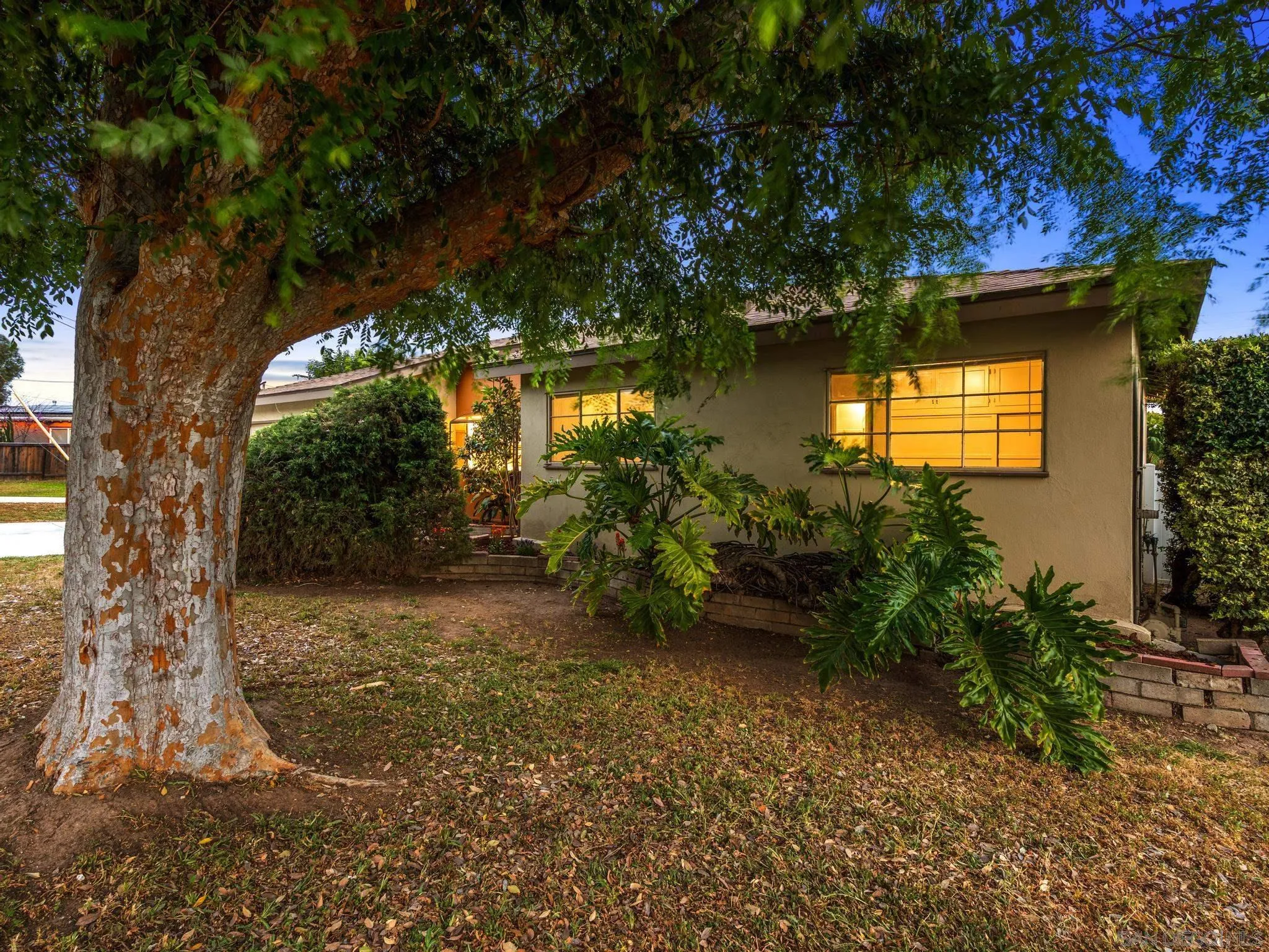 2529 Littleton Road El Cajon, CA 92020 - Photo 21 of 26 a backyard of a house with plants and large tree
