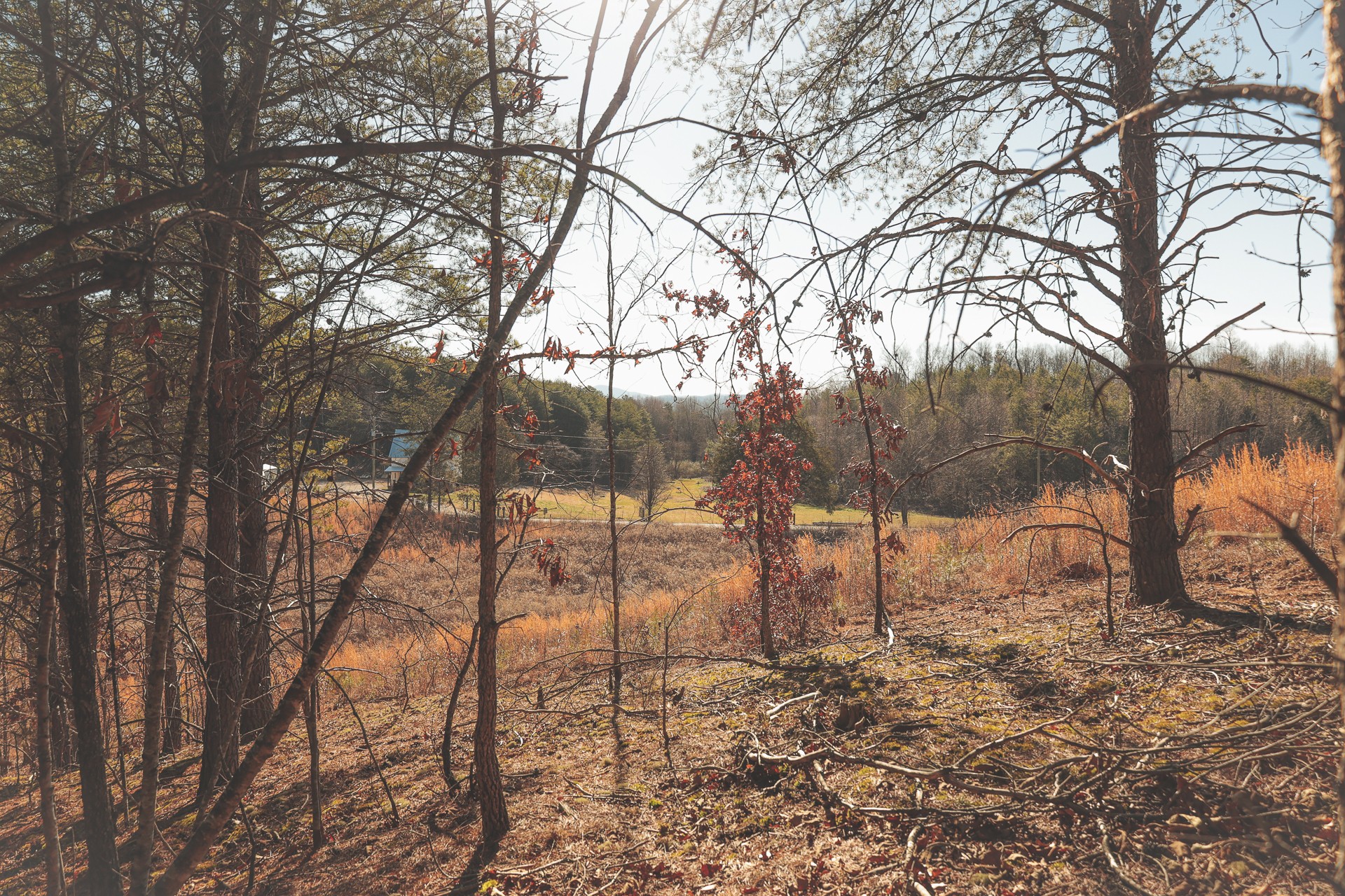 0 Curtis Road Tellico Plains, TN 37385 - Photo 14 of 30 a view of covered with snow in the yard