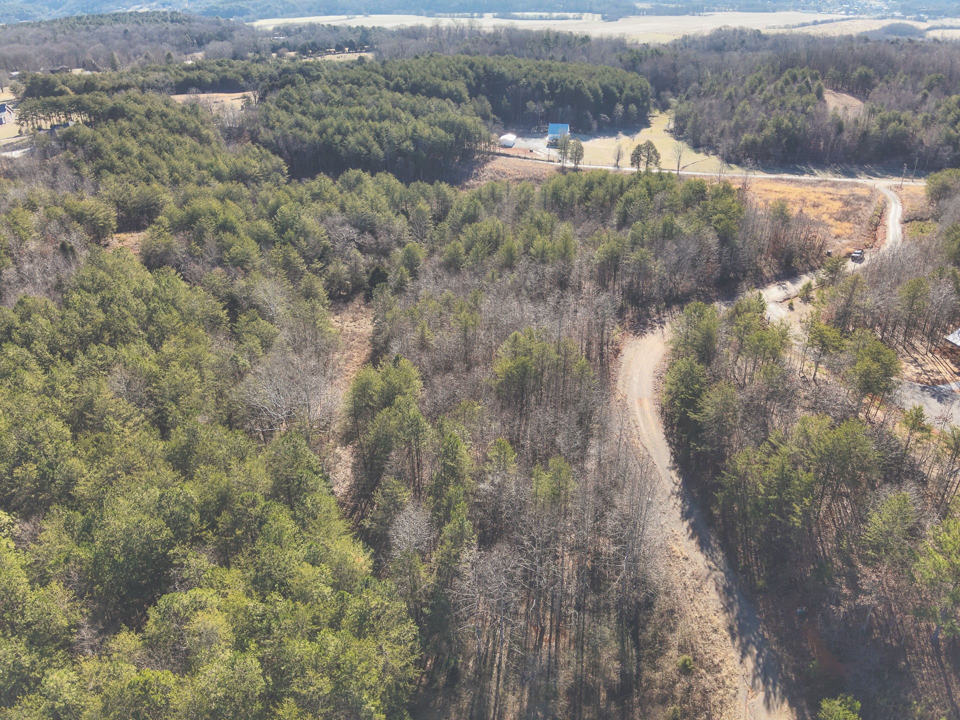 0 Curtis Road Tellico Plains, TN 37385 - Photo 19 of 30 a view of a yard