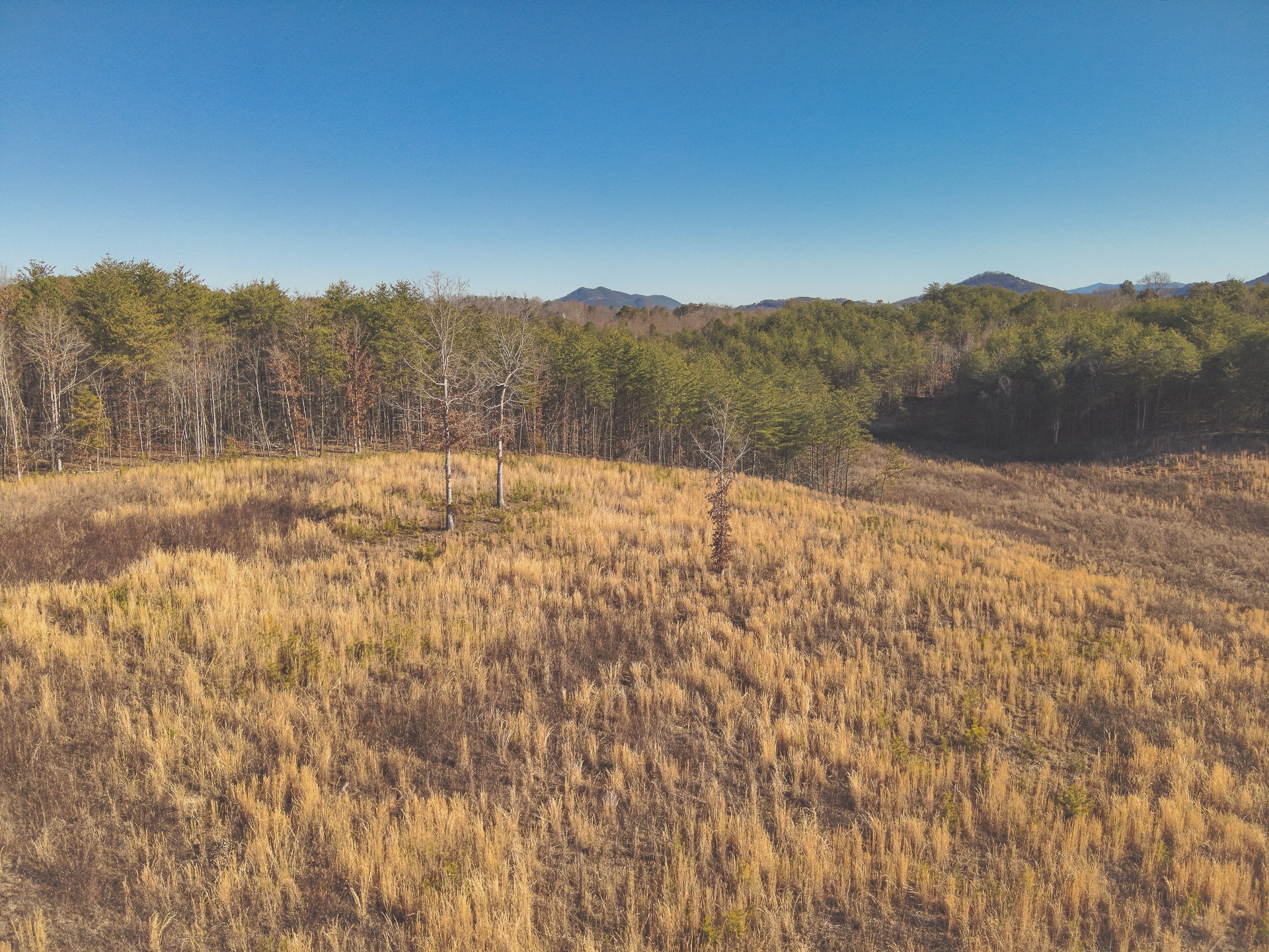 0 Curtis Road Tellico Plains, TN 37385 - Photo 23 of 30 a view of mountain view with lots of trees