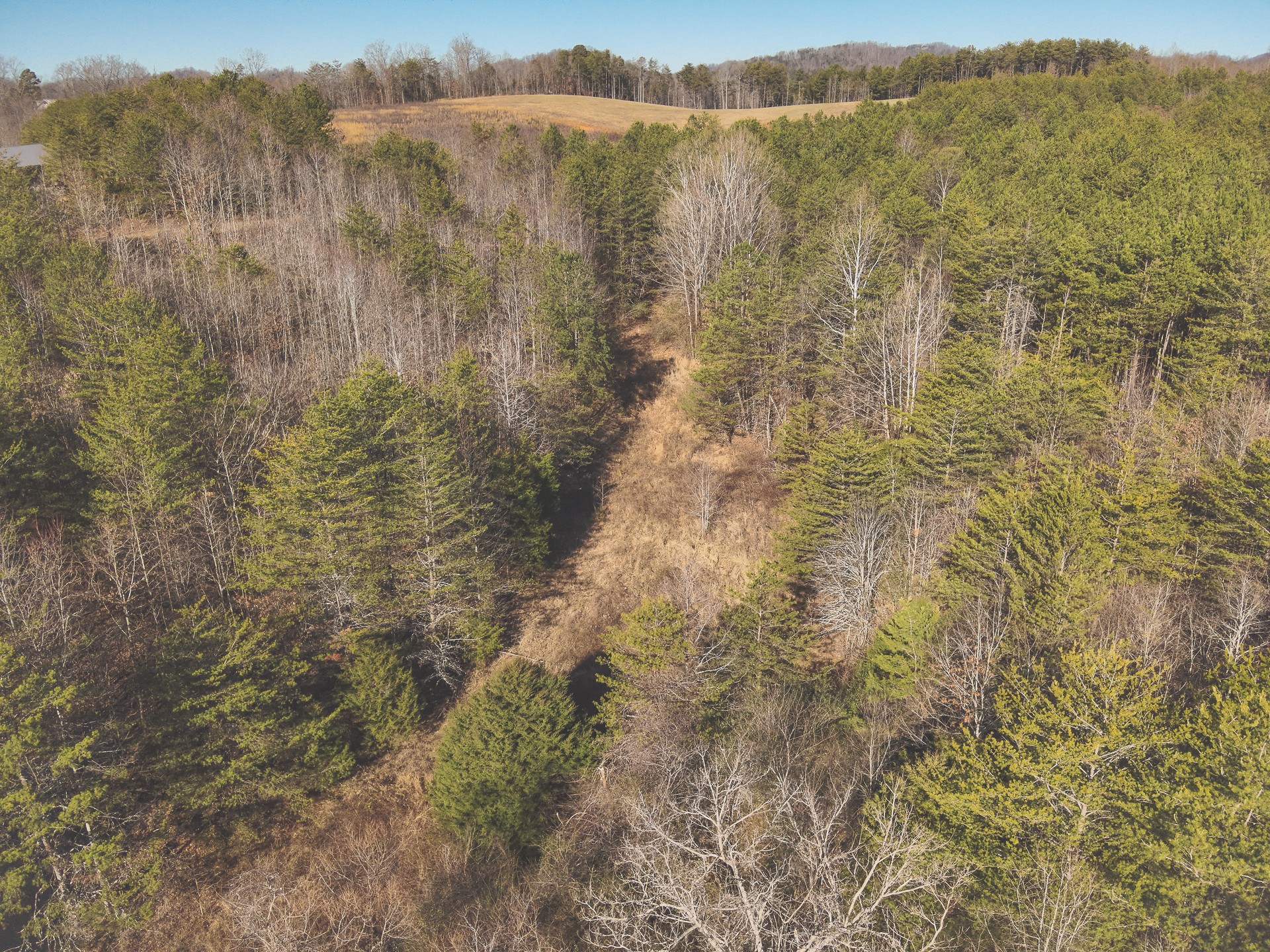 0 Curtis Road Tellico Plains, TN 37385 - Photo 25 of 30 a view of mountain with trees