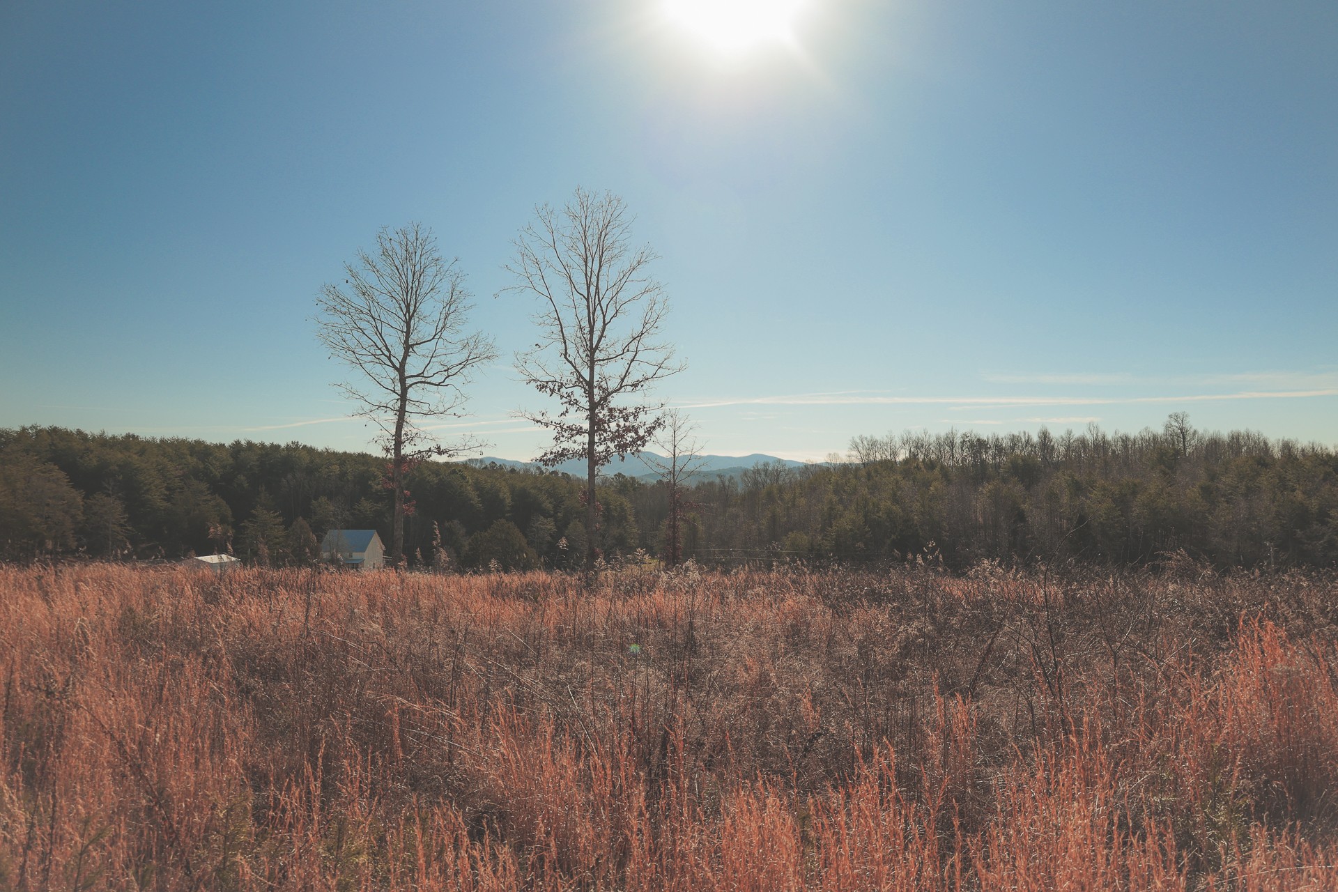 0 Curtis Road Tellico Plains, TN 37385 - Photo 8 of 30 a view of a backyard