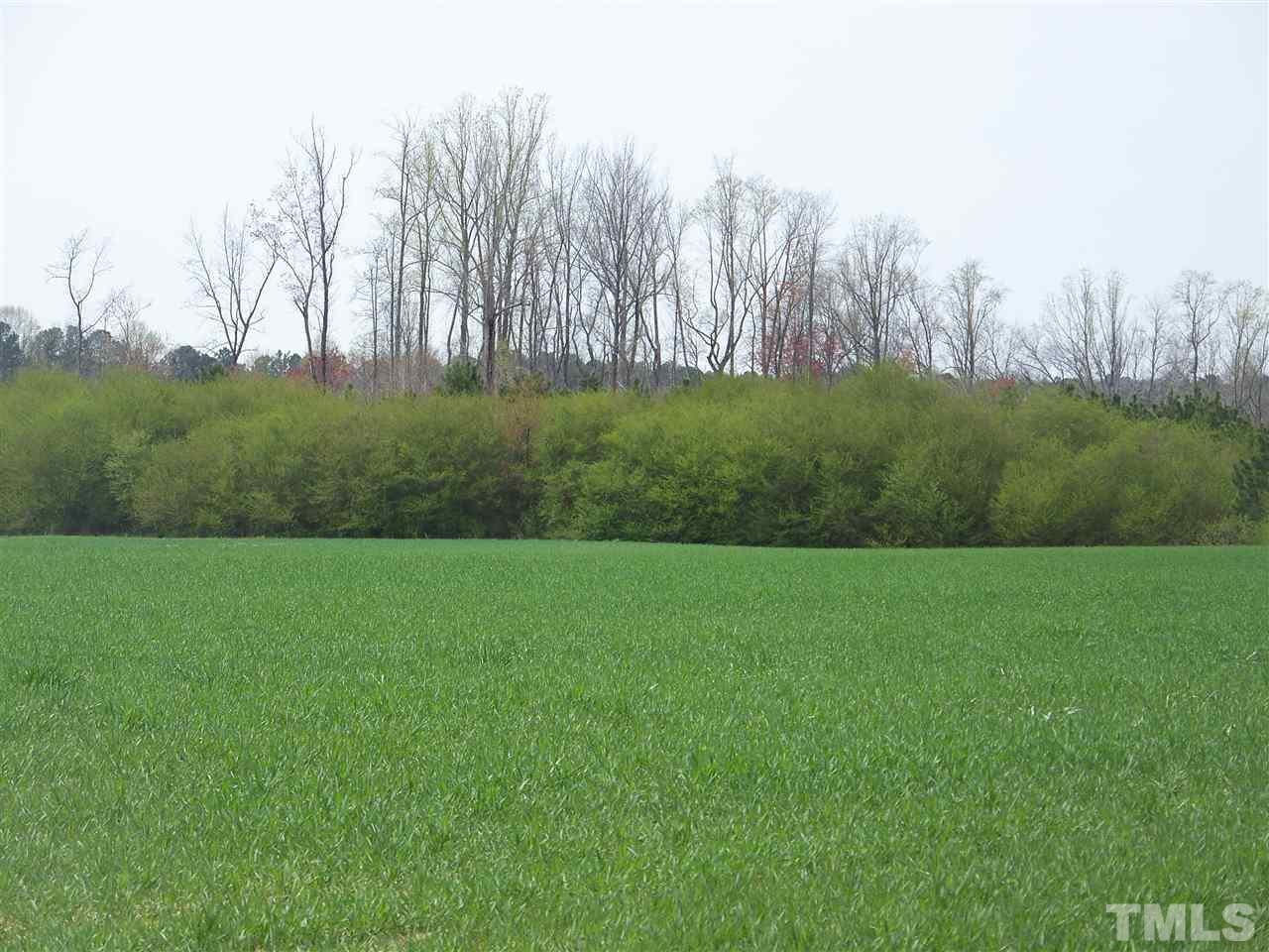 1 Duke Memorial Road Spring Hope, NC 27882 - Photo 2 of 27 a view of field with trees in the background