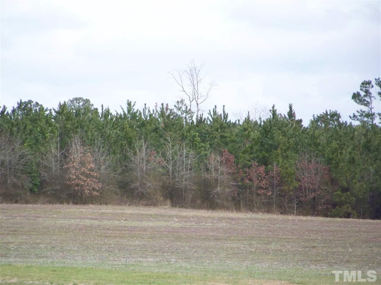 1 Duke Memorial Road Spring Hope, NC 27882 - Photo 11 of 27 a view of a yard with large trees