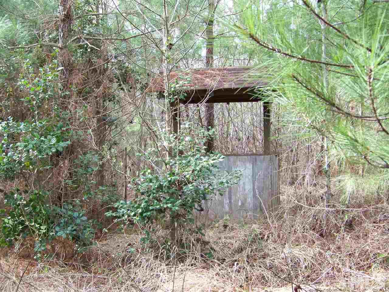 1 Duke Memorial Road Spring Hope, NC 27882 - Photo 12 of 27 a view of a yard front of house