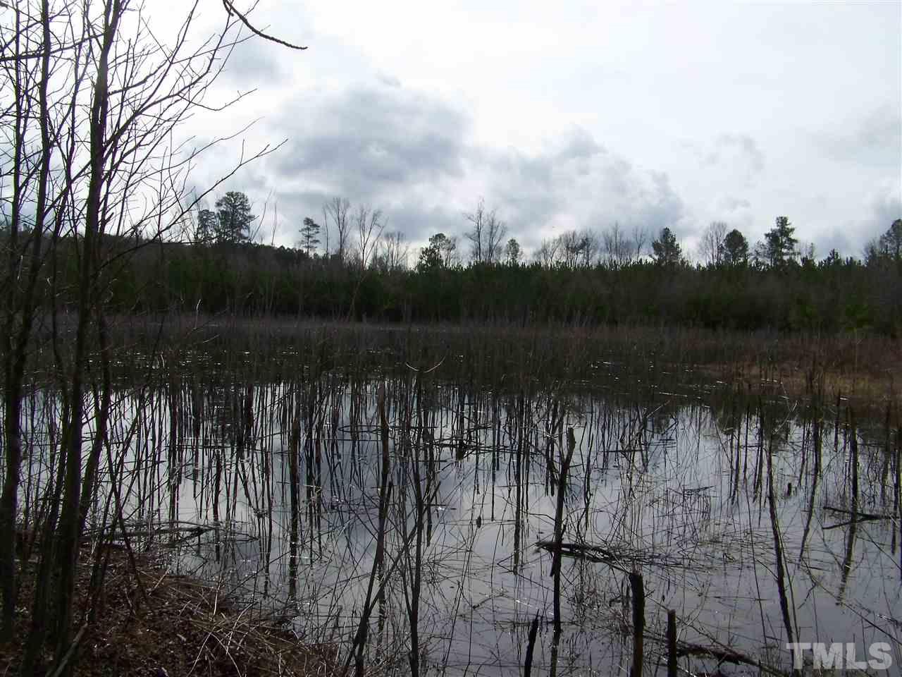 1 Duke Memorial Road Spring Hope, NC 27882 - Photo 14 of 27 a view of a lake