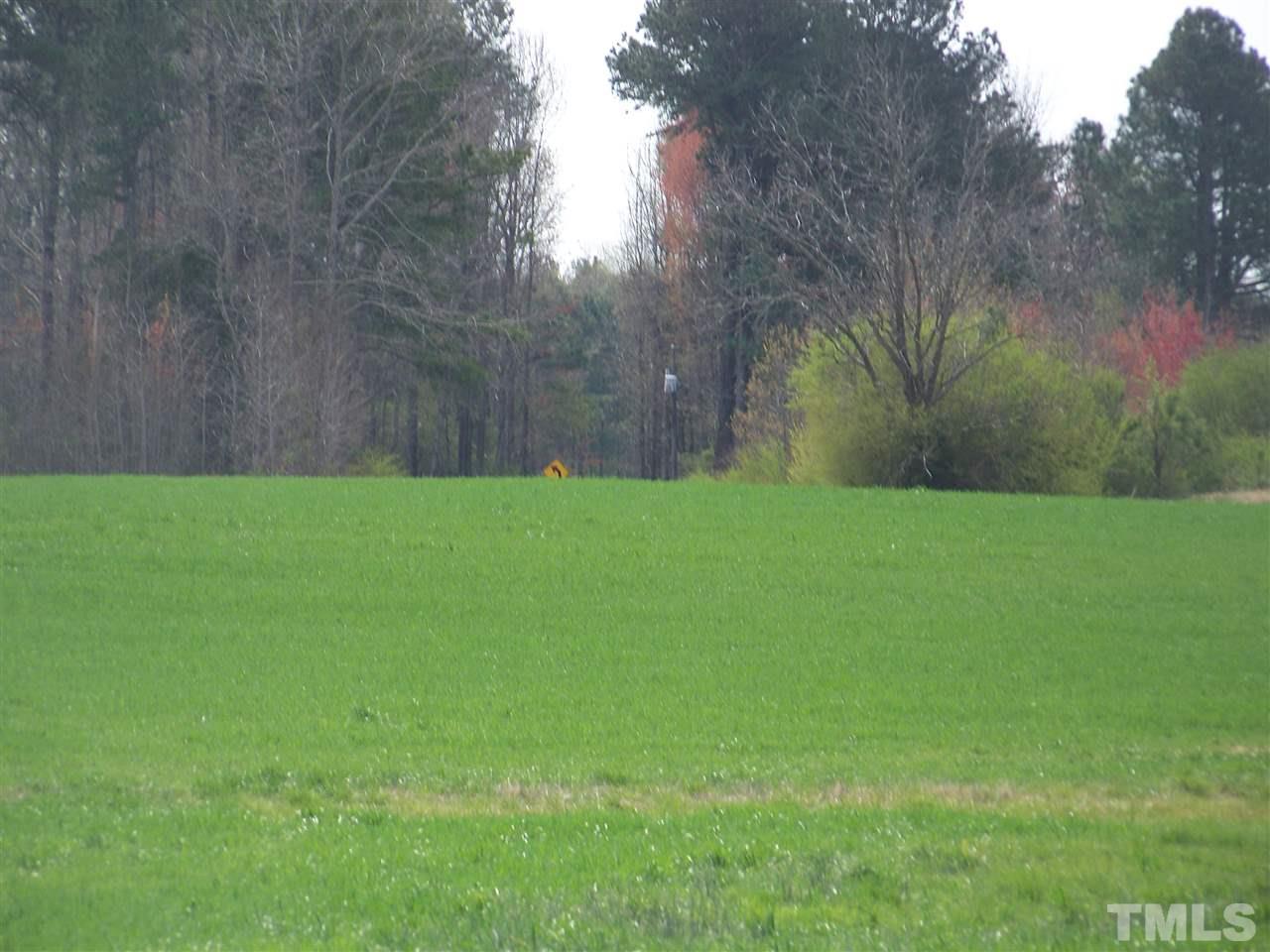 1 Duke Memorial Road Spring Hope, NC 27882 - Photo 3 of 27 a view of a field with trees in the background