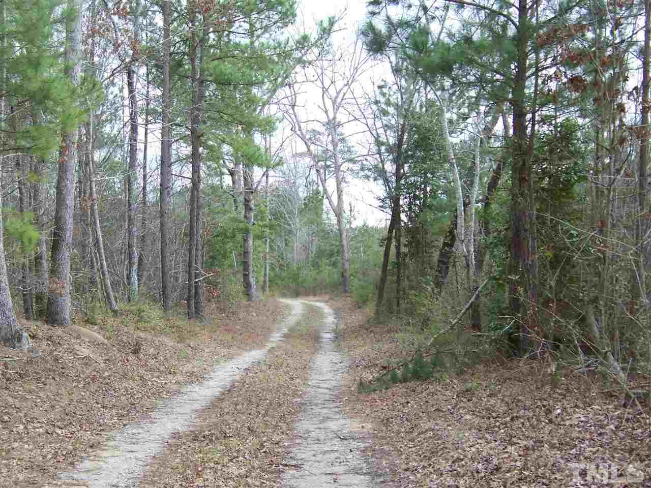 1 Duke Memorial Road Spring Hope, NC 27882 - Photo 21 of 27 a view of a forest filled with trees