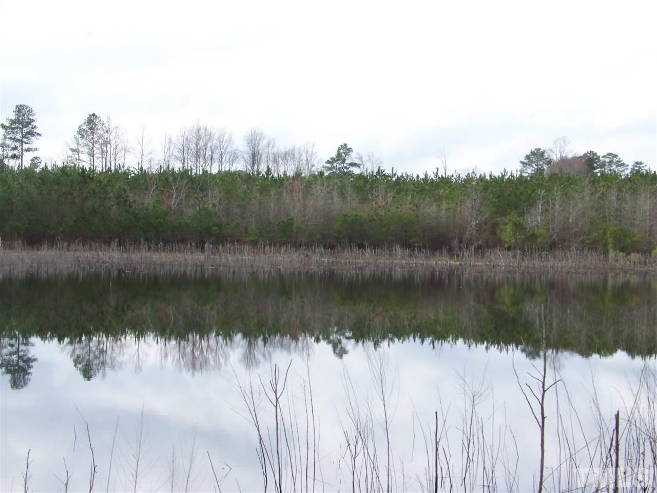 1 Duke Memorial Road Spring Hope, NC 27882 - Photo 22 of 27