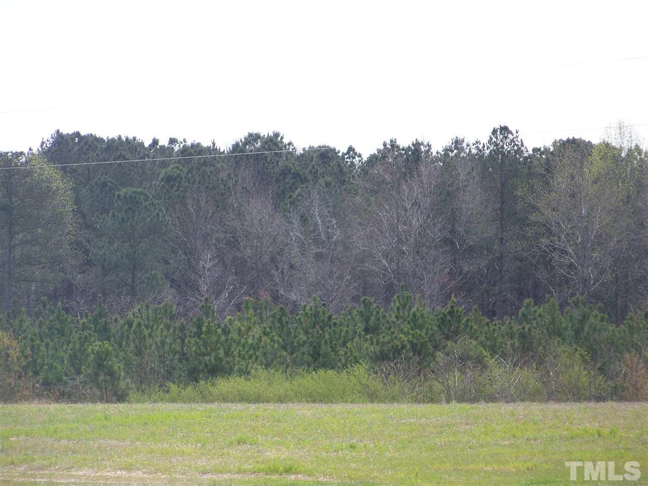 1 Duke Memorial Road Spring Hope, NC 27882 - Photo 4 of 27 a view of a mountain view