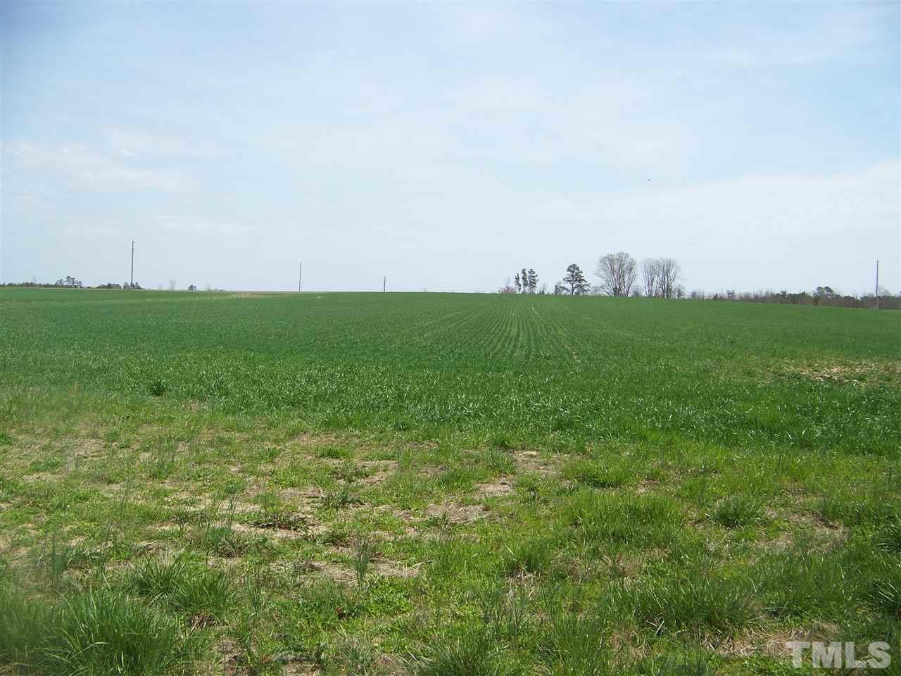 1 Duke Memorial Road Spring Hope, NC 27882 - Photo 6 of 27 a view of a big yard with large trees