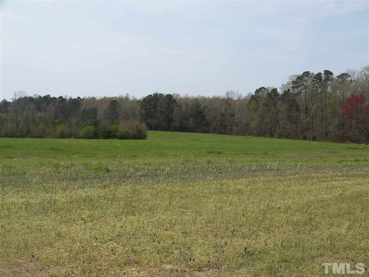 1 Duke Memorial Road Spring Hope, NC 27882 - Photo 7 of 27 a view of grassy field with mountain in the background