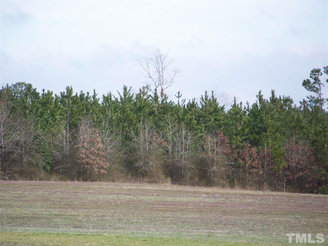 1 Duke Memorial Road Spring Hope, NC 27882 - Photo 8 of 27 a view of a yard