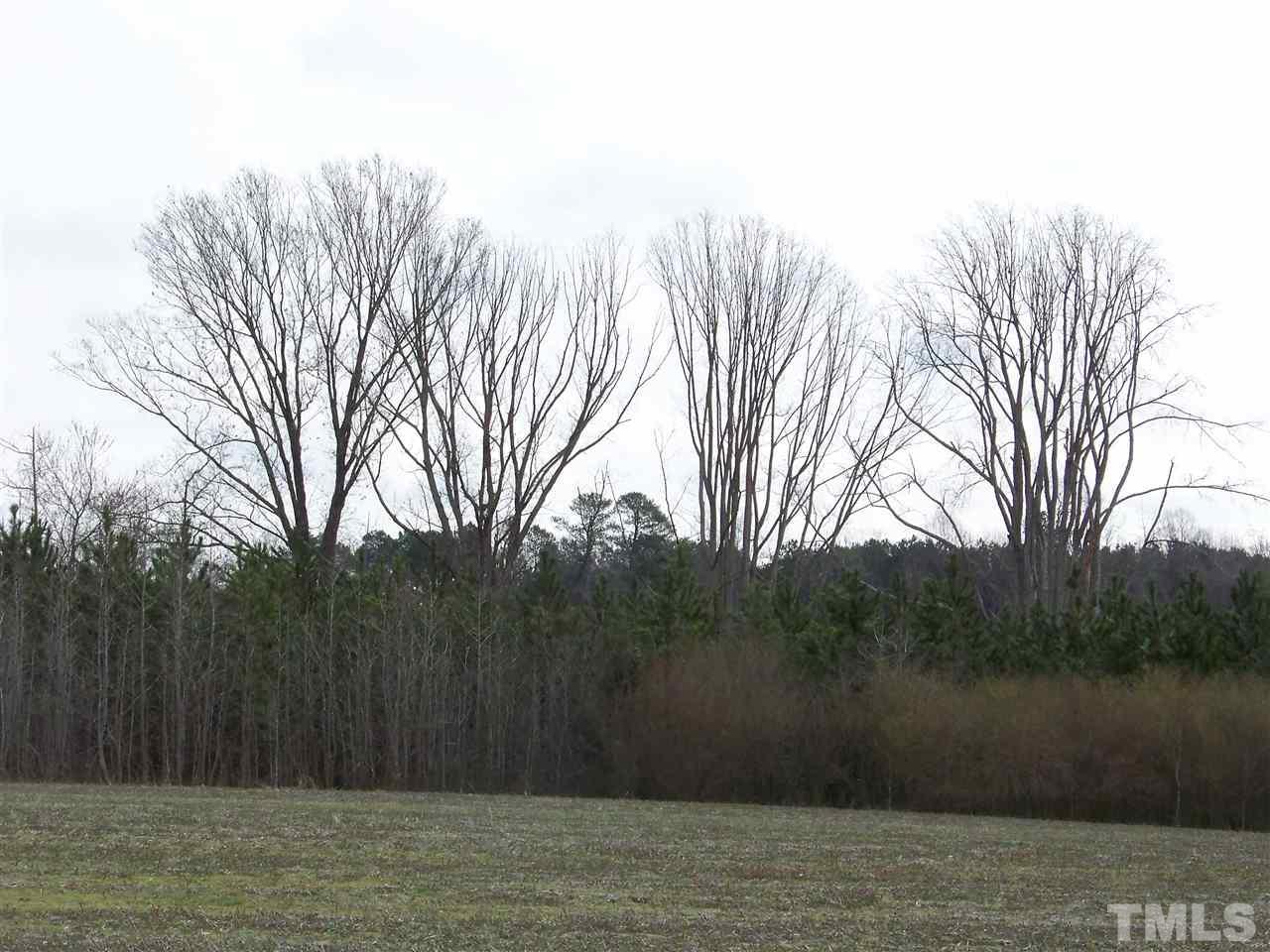 1 Duke Memorial Road Spring Hope, NC 27882 - Photo 9 of 27 a view of a lake view