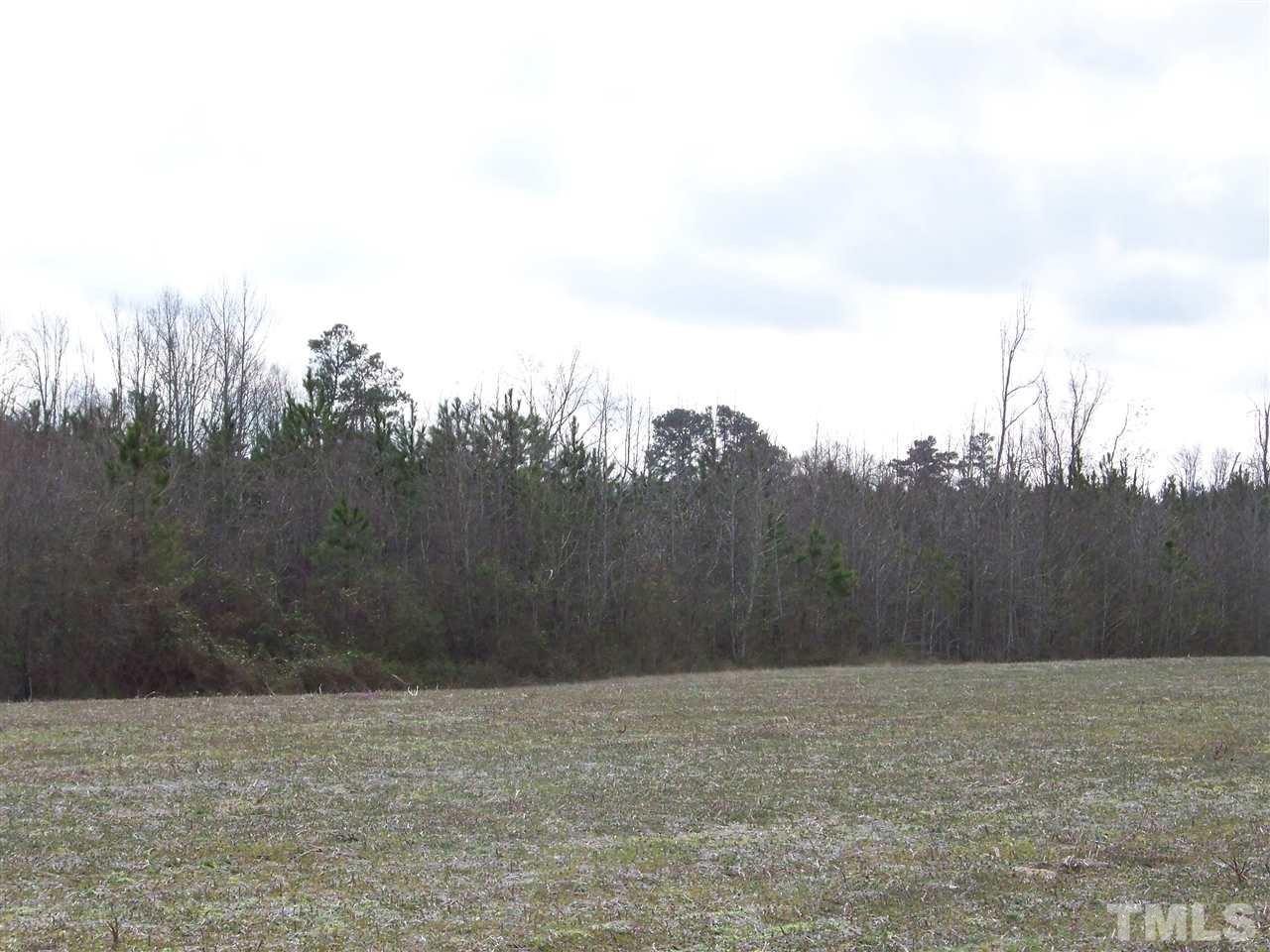 1 Duke Memorial Road Spring Hope, NC 27882 - Photo 10 of 27 a view of a yard